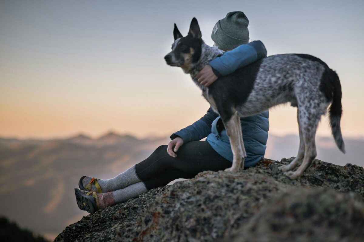 un chien et son maitre